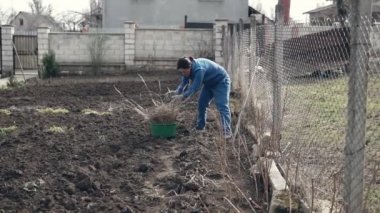 Bahçe iş. Genç kadın bahçede otlar Yüksel.