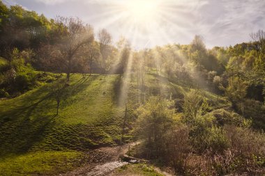 Bahar Carpatian Dağları.