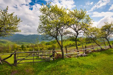 Bahar Carpatian Dağları.