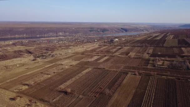 Vista Volo Uccello Dei Campi Del Pacco Agricolo Fiume Piccolo — Video Stock