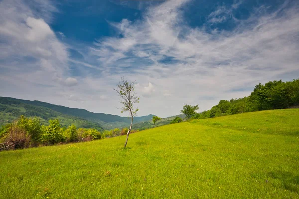 Montagna valle di primavera — Foto Stock