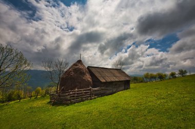 Carpatian hayvan çiftlikleri