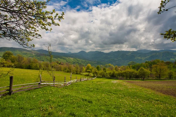 Carpatian mountains at spring. — Stock Photo, Image