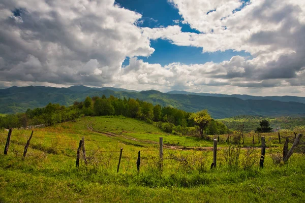 Montañas de Carpatian en primavera . —  Fotos de Stock