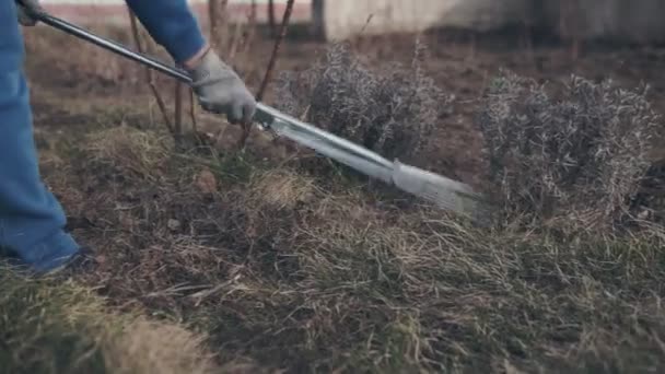 女农民用铲子把花园里的棕色土壤平整 — 图库视频影像