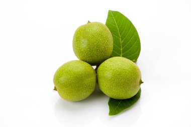 Yaprakları ile genç yeşil ceviz