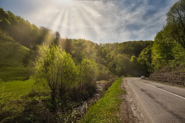 Country road on sunny summer day — Stock Photo, Image