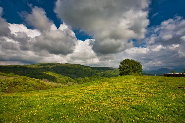 Montañas de Carpatian en primavera . —  Fotos de Stock