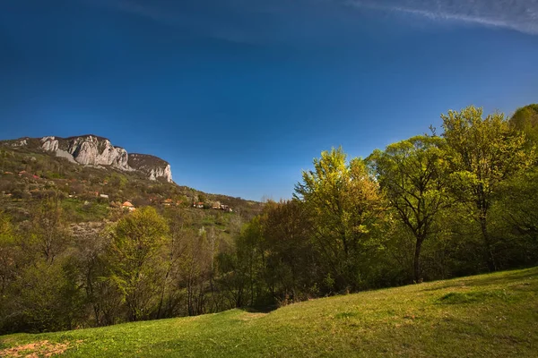 Carpatian mountains at spring. — Stock Photo, Image