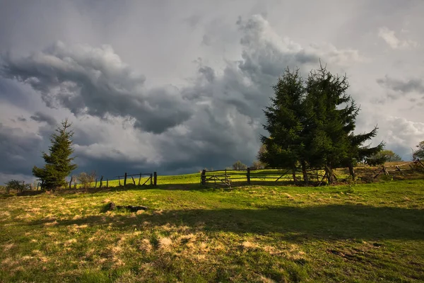 Carpatian mountains at spring. — Stock Photo, Image