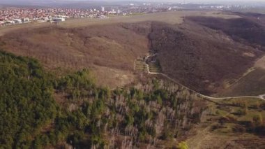 Güzel yeşil köy veya kasaba yakınında trafik ile yolda havadan görünümü. Kırsal alanda yüksek orman.