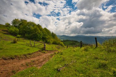 Bahar Carpatian Dağları.