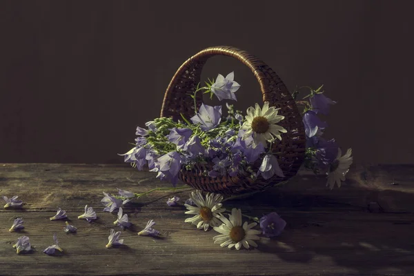 Szép harang alakú virágok-csokor — Stock Fotó