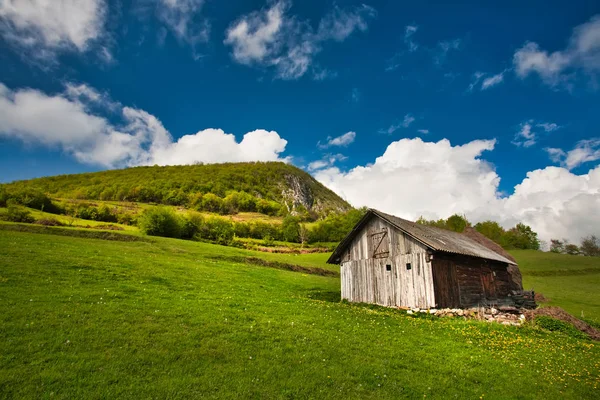 Karpatisch veehouderijen — Stockfoto