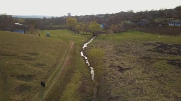 Survol Petit Village Avec Une Église Centre Coucher Soleil Village — Video