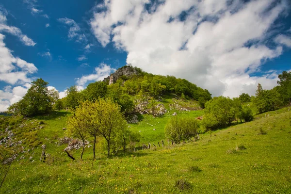 Montanhas carpáticas na primavera . — Fotografia de Stock