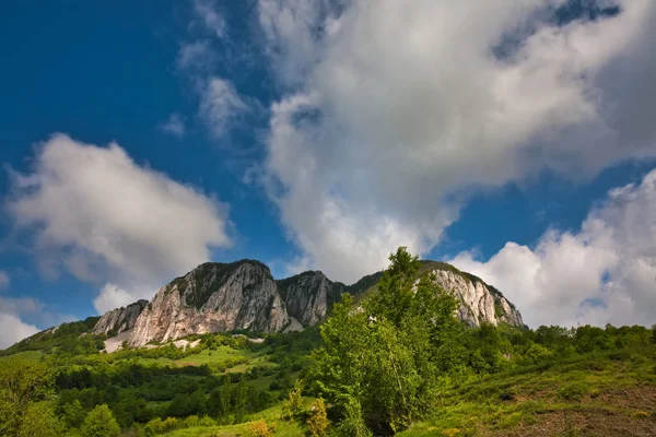 Carpatian mountains at spring. — Stock Photo, Image