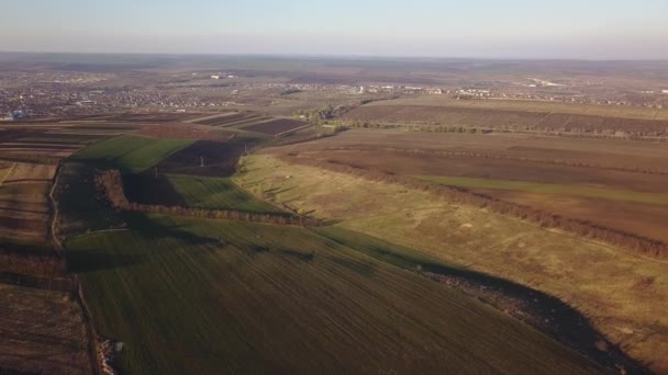 フィールドおよび農業区画の鳥瞰図 モルドバ共和国 航空写真ビュー — ストック動画