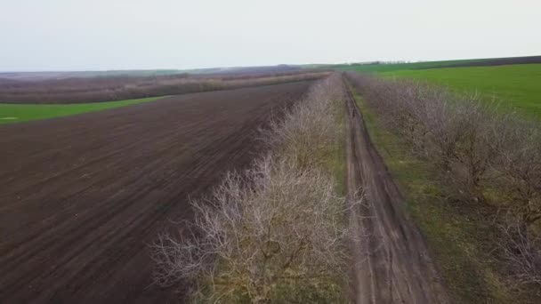 フィールドおよび農業区画の鳥瞰図 モルドバ共和国 航空写真ビュー — ストック動画