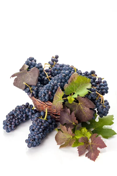Grapes in basket isolated Royalty Free Stock Images