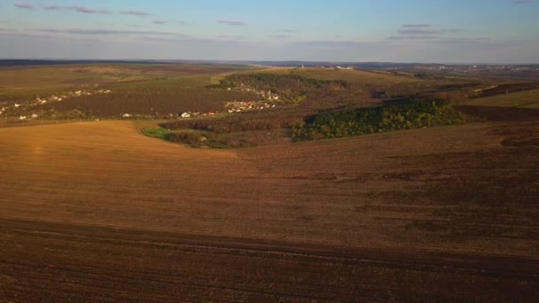 Luz Del Atardecer Sobre Campo Cultivo Primavera Moldavia República — Vídeo de stock