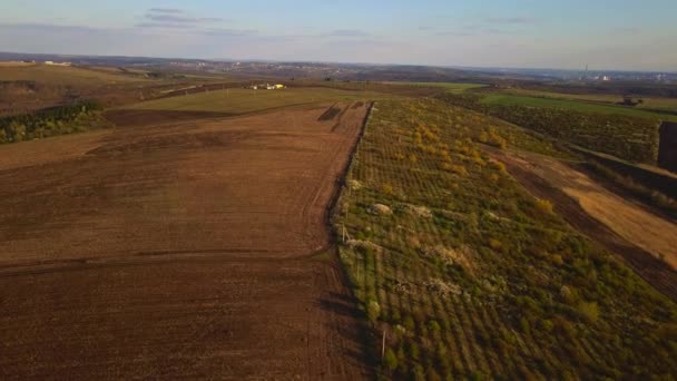 Sunset Light Cultivating Field Spring Moldova Republic — Stok video