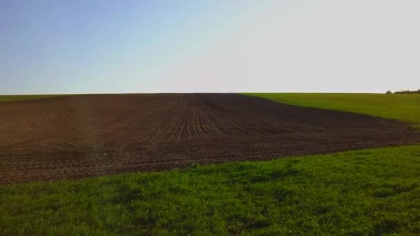 Luz Del Atardecer Sobre Campo Cultivo Primavera Moldavia República — Vídeos de Stock
