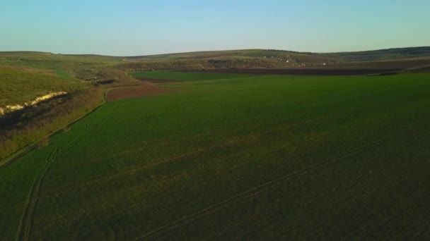 Gün Batımı Işığı Lkbaharda Yetiştirme Alanı Üzerinde Uçuş Moldova Cumhuriyeti — Stok video