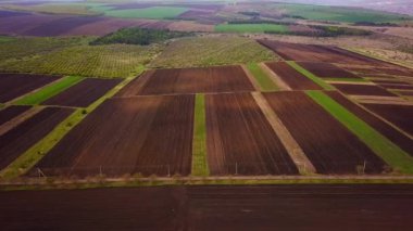 Gün batımı ışığı. İlkbaharda yetiştirme alanı üzerinde uçuş. Moldova Cumhuriyeti.