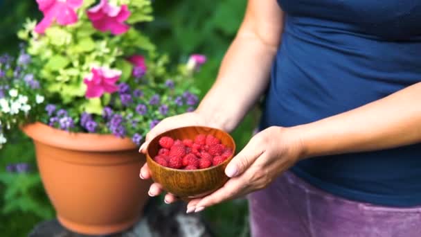 정원에서 농장에 나무에서 딸기를 파란색 — 비디오