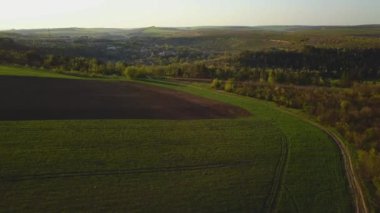 Gün batımı ışığı. İlkbaharda yetiştirme alanı üzerinde uçuş. Moldova Cumhuriyeti.