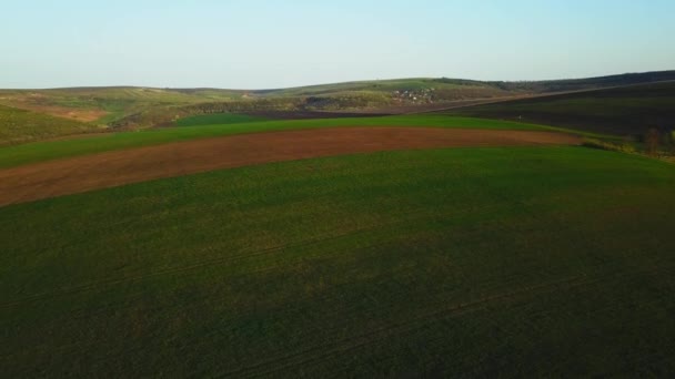 Światło Zachodu Słońca Przelot Nad Polem Uprawnym Wiosną Republika Mołdawii — Wideo stockowe