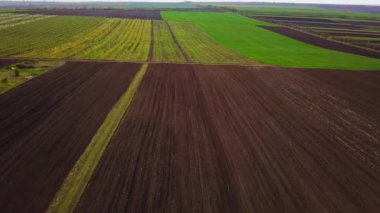 Gün batımı ışığı. İlkbaharda yetiştirme alanı üzerinde uçuş. Moldova Cumhuriyeti.