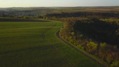 Gün batımı ışığı. İlkbaharda yetiştirme alanı üzerinde uçuş. Moldova Cumhuriyeti.