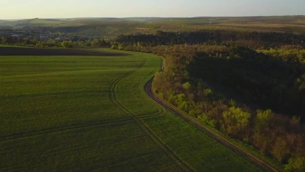 Gün Batımı Işığı Lkbaharda Yetiştirme Alanı Üzerinde Uçuş Moldova Cumhuriyeti — Stok video