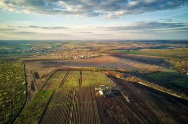 Sunset light over cultivating field in the spring