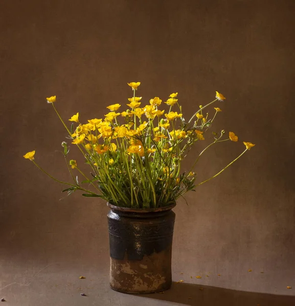 Still life with wild flowers, spring time — Stock Photo, Image