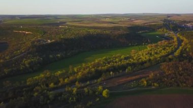 Doğa. Ormanın yakınındaki otobandan uç. Bahar zamanı.