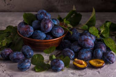 Kasede erik ile natürmort.