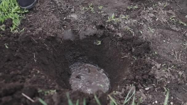 Uma Mulher Bonita Seu Jardim Plantar Flores Coloridas Para Dar — Vídeo de Stock