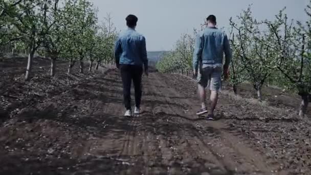 Deux Jeunes Hommes Marchent Dans Verger Pommiers Fleuris — Video