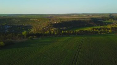 Sunset light over cultivating field in the spring