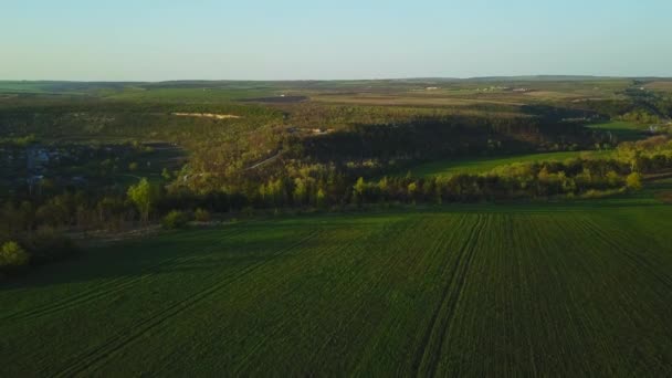 Luz del atardecer sobre el campo de cultivo en primavera — Vídeos de Stock