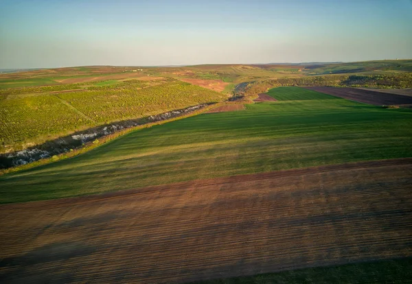 Sunset light over cultivating field in the spring — Zdjęcie stockowe