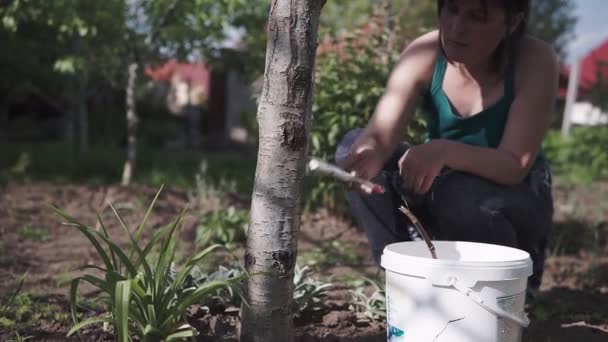 Genç Çekici Bir Kadın Parkta Çalışıyor Bahçedeki Beyazlatıcı Ağaçlarla Meşgul — Stok video
