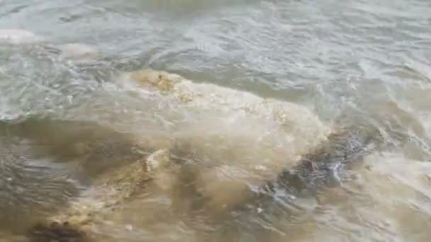 Fondo Del Río Agua Cerca Superficie Del Agua Del Río — Vídeo de stock