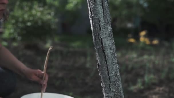 Young Attractive Woman Working Outdoors Park Engaged Whitewashing Trees Garden — 비디오