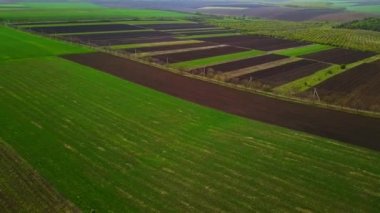 Gün batımı ışığı. İlkbaharda yetiştirme alanı üzerinde uçuş. Moldova Cumhuriyeti.
