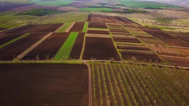 Sunset Light Flight Cultivating Field Spring Moldova Republic — Stock Video