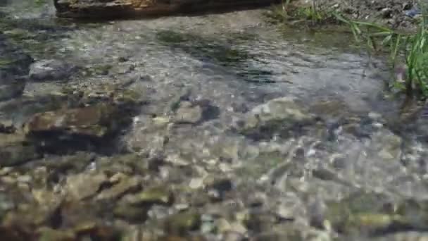 Perto Riacho Montanha Cachoeira — Vídeo de Stock